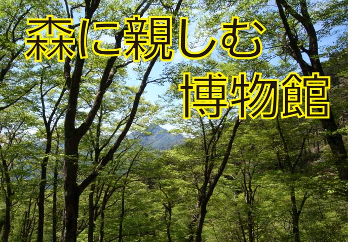 愛媛県総合科学博物館 巡回展「森に親しむ博物館」開催